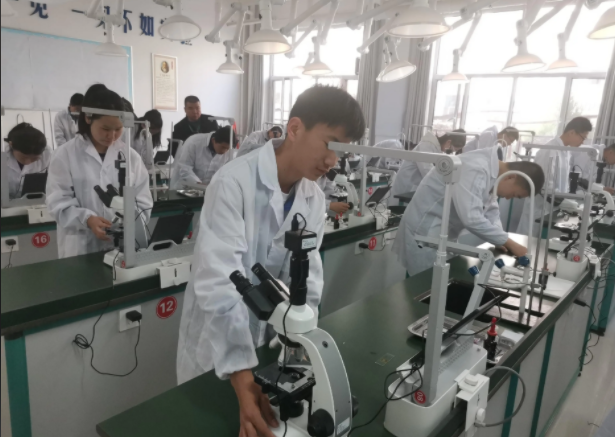 优化评价机制突出在教师教学评价中跨学